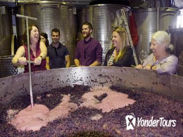 Mornington Peninsula Winery Tour Including Wine Tastings and 2-Course Lunch from Melbourne