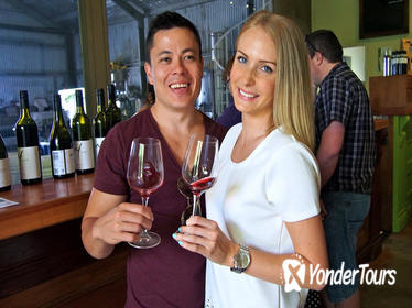 Mount Tamborine Wine and Winery Tour from Brisbane or the Gold Coast