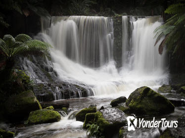 Mt Field National Park Including Russell Falls: Private Sightseeing and Photography tour from Hobart