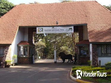 Nairobi National Park Game Drive