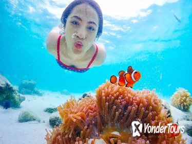 Nemo island snorkeling tour near Pattaya