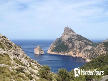 North Of Mallorca Highlights: Guided Day Tour