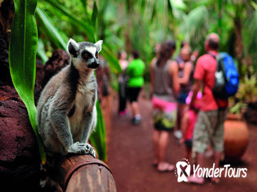 Oasis Park Entrance Ticket & Lemur Experience