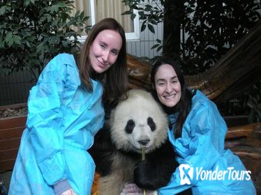 One-Day Private Panda Tour of Chengdu