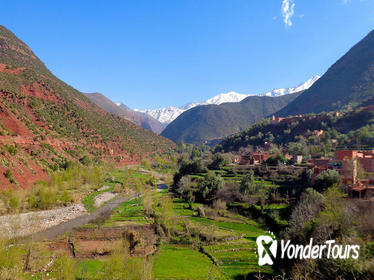 Ourika Valley Private Day Tour including Lunch from Marrakech