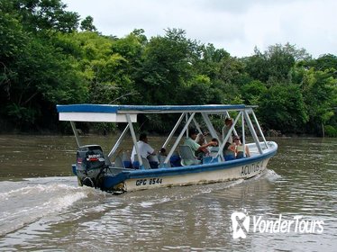 Palo Verde River Eco-Tour from Tamarindo