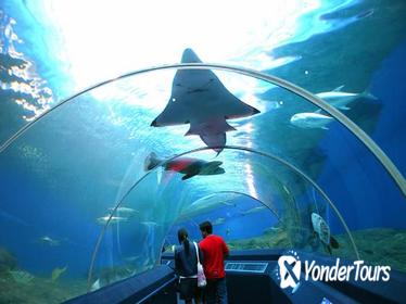 Pattaya Underwater World Tour with Hotel Transfers