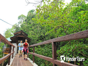 Penang National Park Half-Day Trek