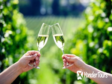 Penedes Wine and Cava Day Tour from Barcelona
