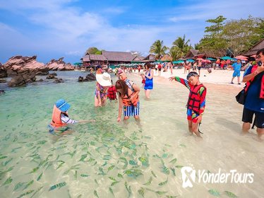 Phi Phi & Khai Island Full Day Tour from Phuket by Speedboat including Lunch