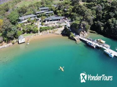 Picton Shore Excursions - Marlborough Sounds Cruise and Lochmara Day visit
