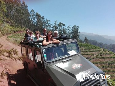 Poncha Mountains and Vineyards Half-Day 4x4 Small-Group Tour