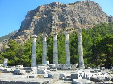 Priene Miletus Didyma Tour with Private Guide