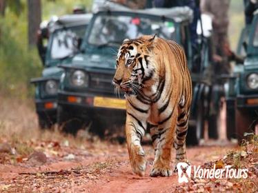 Private 07-Days Golden Triangle Tour with Ranthambhore Tiger Reserve from Delhi