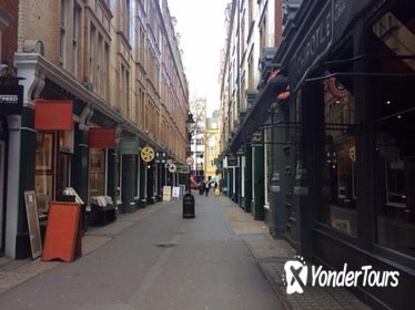 Private 3-hour Harry Potter Walking Tour of London