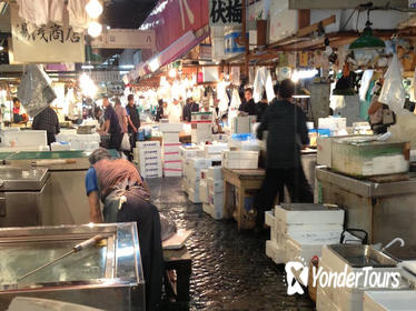 Private 4-Day Tokyo and Kyoto: Tsukiji Market, Gion