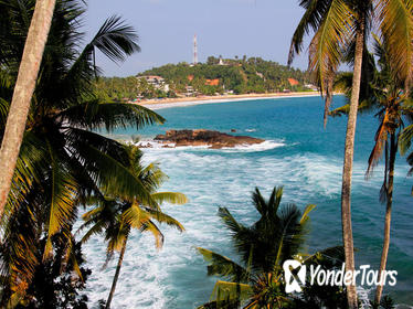 Private 8-Day Tour of Sri Lanka from Colombo