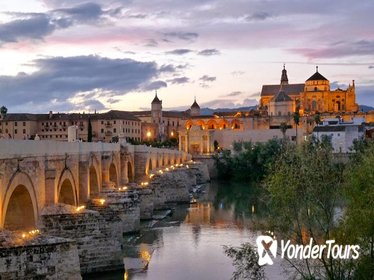 Private Cordoba City Tour from Seville