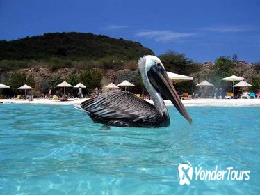 Private Curaçao Beaches Tour Including Kenepa Beach