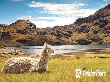 Private Day Tour to Cajas National Park from Cuenca