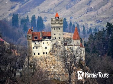 Private Day Trip to Transylvania (Dracula Castle - Royal Palace - Brasov)