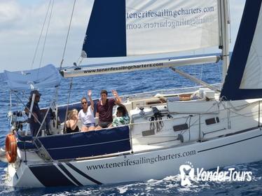 Private Dolphin Watching Sailing Tour in Tenerife