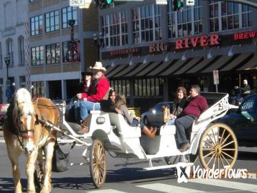 Private Downtown Nashville Horse and Carriage Ride