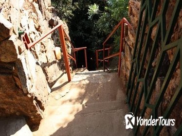 Private Full-Day Cradle of Human Kind and Wonder Cave Tour