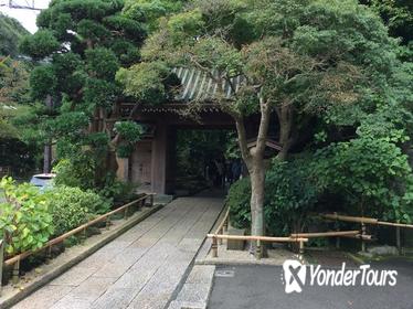 Private Full-Day Kamakura Tour of Tokyo and Hokoku-ji Temple
