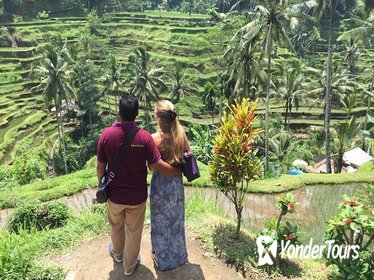 Private Full-Day Tour: All About Ubud
