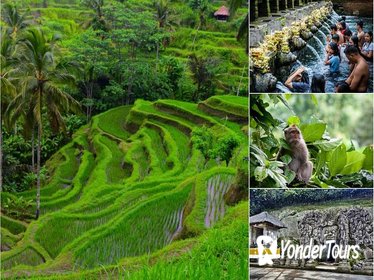 Private Full-Day Tour: The Majesty of Bali