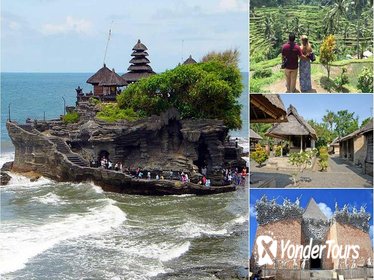 Private Full-Day Tour: Ubud Tanah Lot Experience