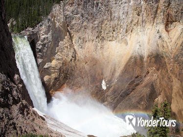 Private Full-Day Yellowstone Wildlife Tour from Jackson Hole