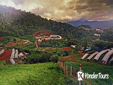 Private Half-Day Hmong Nong Hoi Village and Botanic Garden in Chiang Mai