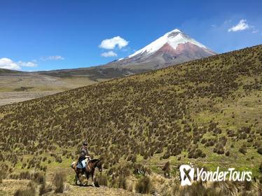 Private Horseback Riding at Cotopaxi Volcano from Quito