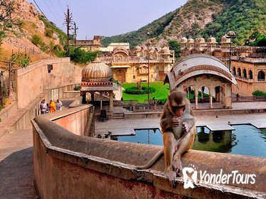 Private Jaipur Sightseeing Excursion with Monkey Temple (Galta Ji) & Amber Fort