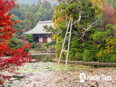 Private Scholar-led Kyoto Walking Tour: Japanese Gardens and Landscape