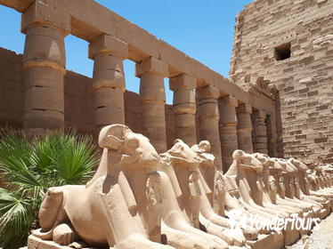 Private Tour from Luxor to East Bank - Karnak and Luxor Temples