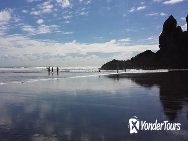 Private Tour of Piha and KiteKite Falls from Auckland