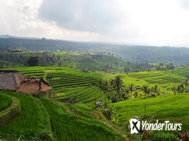 Private Tour: Bali Temple and Countryside Tour