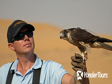 Private Tour: Falconry Experience and Wildlife Tour in Dubai