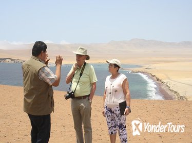 Private Tour: Full-Day Paracas Tour from Lima