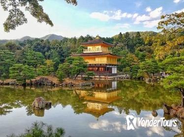 Private Tour: Kyoto Highlights in Full Day
