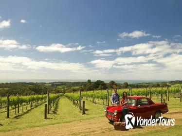 Private Tour: Mornington Peninsula Behind-the-Scenes Gourmet Food and Wine Tasting Experience