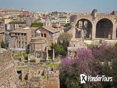 Private Tour: Palatine Hill in Rome Including Domus Augustana