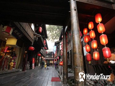 Private Tour: Panda & Chengdu city & Face changing with lunch