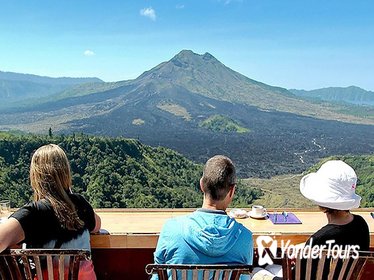 Private Tour: Waterfall, Kintamani Volcano, Ubud Tour with Lunch