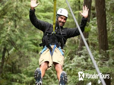 Rainforest Canopy Adventure from Vieux Fort or North Island, St Lucia