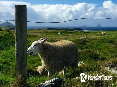 Ring of Kerry Hike - 5 Day Self-Guided Tour