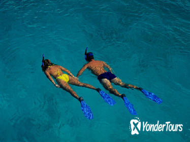 Roatan Shore Excursion: Snorkeling Tour